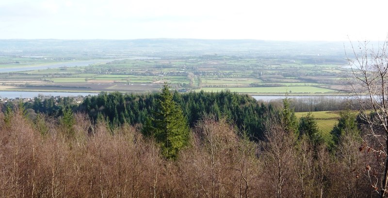 The view from Blaize Bailey in winter: bare silver birches and dark conifers falling away in the foreground, and beyond them the wide flat vale of the Severn, with the river showing pale in its great horseshoe bend below Newnham and the low hills of the far bank fading into haze.