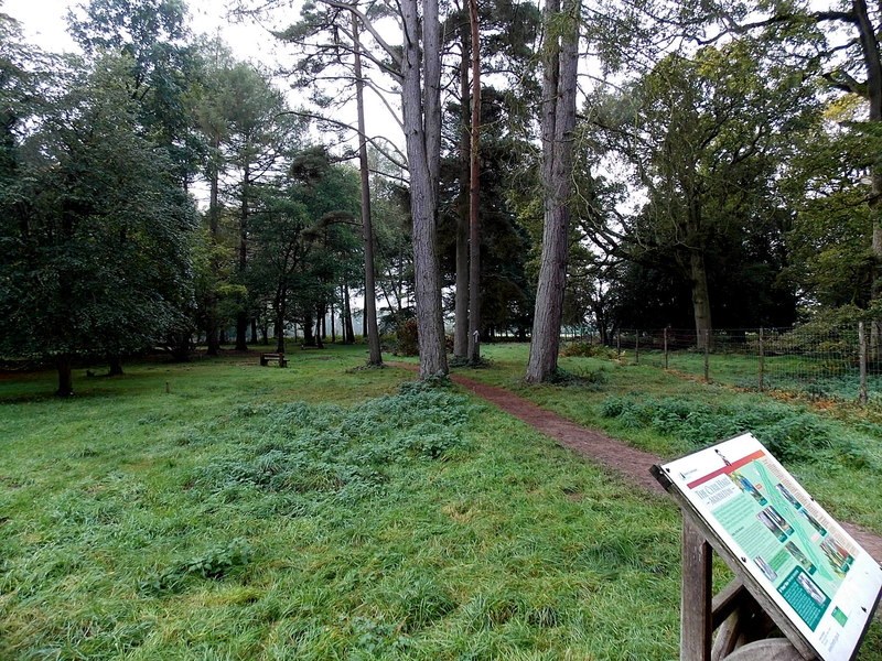 A path through the Cyril Hart Arboretum: a narrow earth trail leading between tall conifers and autumn broadleaves across rough grass, with a wooden interpretation lectern in the foreground and a fence line on the right.