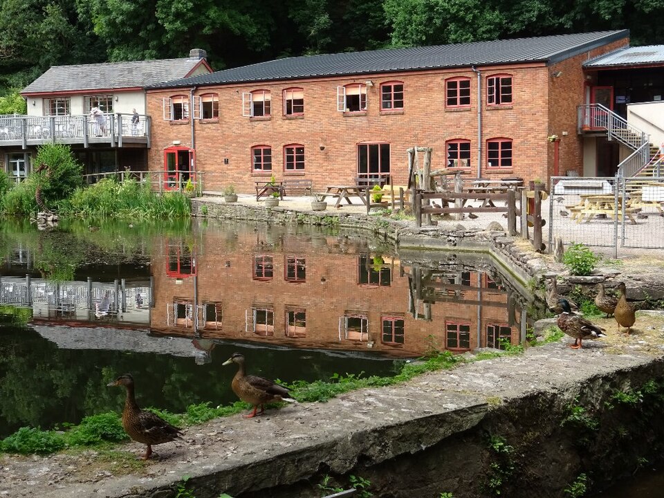 The Dean Heritage Centre at Camp Mill: a long two storey red brick mill building with red framed windows reflected almost perfectly in its still mill pond, a cafe balcony with people at tables on the left, picnic benches in the yard, and mallard ducks standing on the stone wall of the mill race in the foreground.