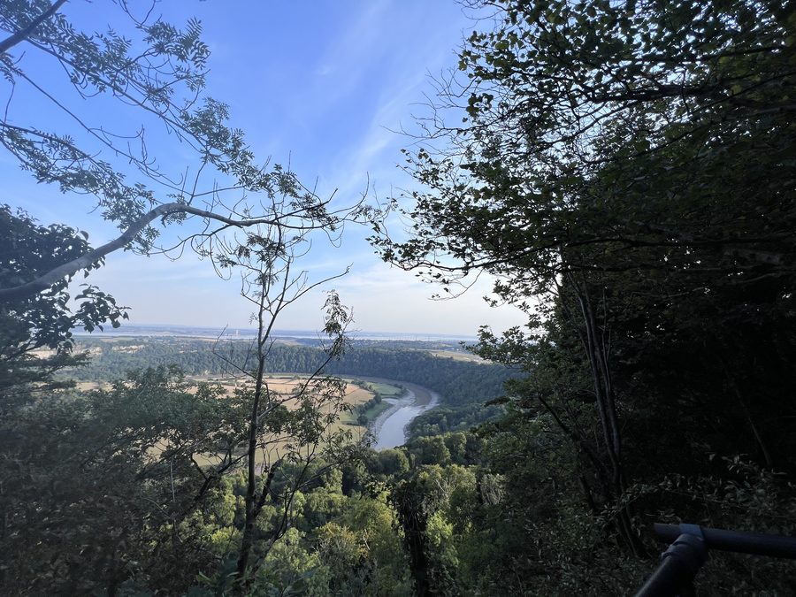 The view from the Eagle's Nest viewpoint, looking down through a frame of trees to the River Wye winding between wooded slopes and fields, with the pale flat line of the Severn estuary on the horizon under a blue sky.
