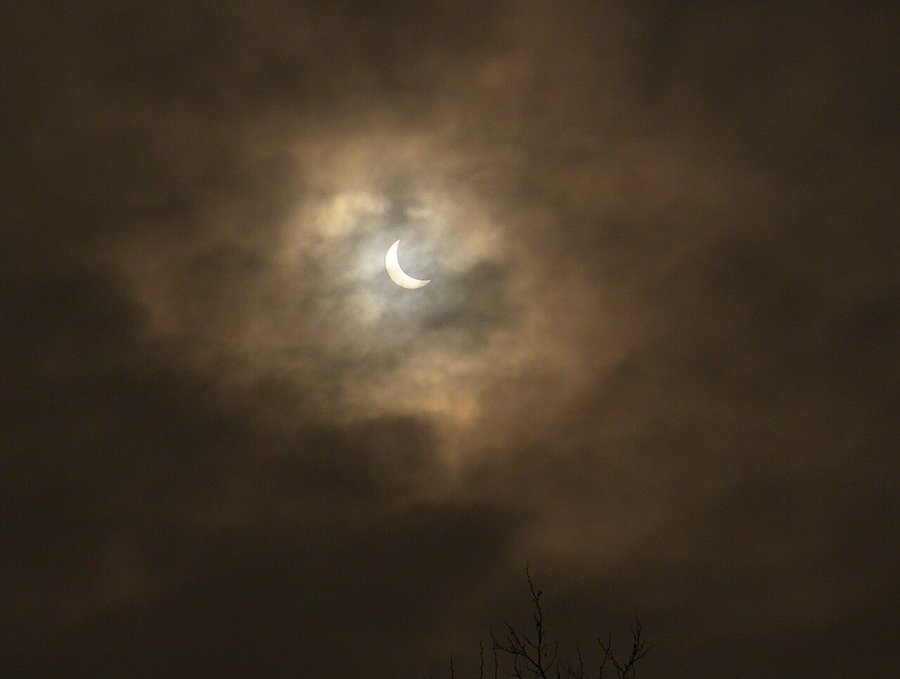 A deep partial solar eclipse seen through thin cloud: the Sun reduced to a bright white crescent, glowing through a break in heavy brown-grey cloud, with the bare twigs of a treetop silhouetted at the bottom of the frame.