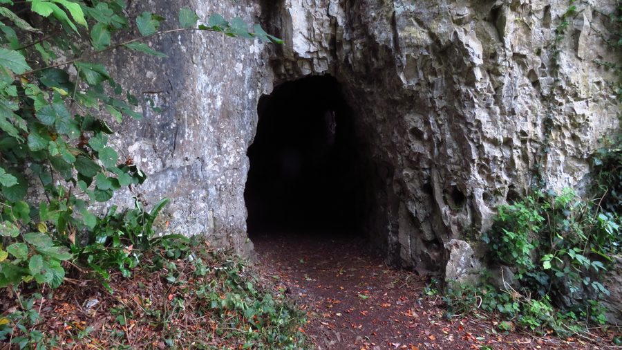 The dark arched mouth of the Giant's Cave tunnel cut into a pale limestone cliff on the Piercefield walks, with autumn leaves on the path and ivy and hazel growing around the entrance.