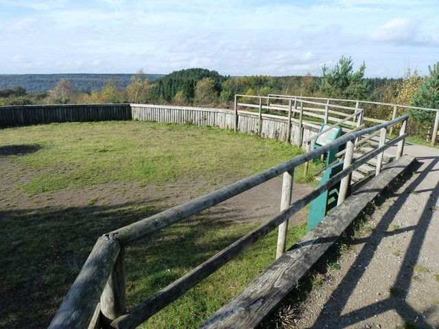 The summit of New Fancy viewpoint in autumn: a circular enclosure ringed by a low wooden fence on top of the old spoil heap, with a rough grass floor, a timber handrail in the foreground, and the canopy of the Forest of Dean rolling away to the horizon under a pale sky.