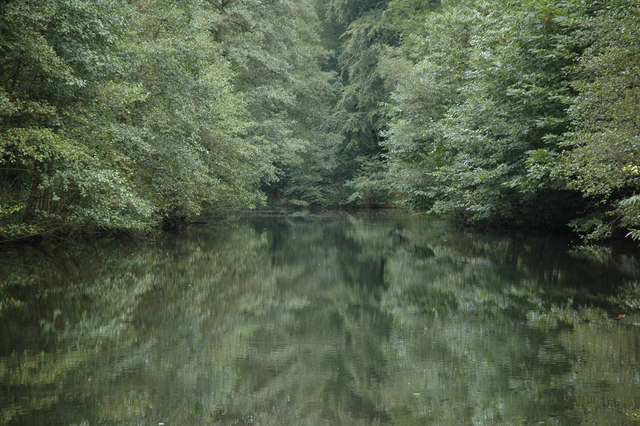 One of the Soudley Ponds in full leaf: still dark green water reflecting the tall trees that crowd both banks, with the pond narrowing away into the wooded valley.