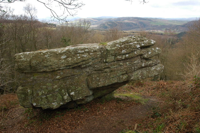 The Buckstone in profile: a large layered block of grey sandstone perched at the edge of its ridge above Staunton, with a long view opening behind it over the bare winter woods of the Wye Valley to the hills of Wales.