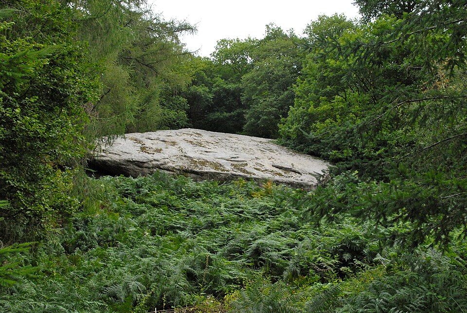 The Suck Stone: a vast flat slab of pale grey stone lying low in a clearing in Highmeadow Woods, its top mottled with moss, surrounded on all sides by a sea of green bracken with larch and oak trees closing in around it.