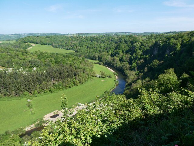 The view from Symonds Yat Rock in early summer: the River Wye curving in a great green bend between flat pastures and steep wooded slopes, with pale limestone cliffs showing through the trees on the right and low wooded hills stretching away to the horizon under a blue sky.