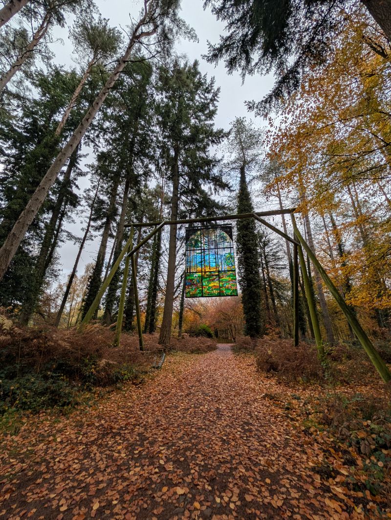 A stained-glass window hung high between pine trunks over a leaf-strewn track